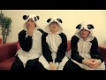 McFly - Harry, Tom and Dougie challenge you to #doitinthedark for Earth Hour